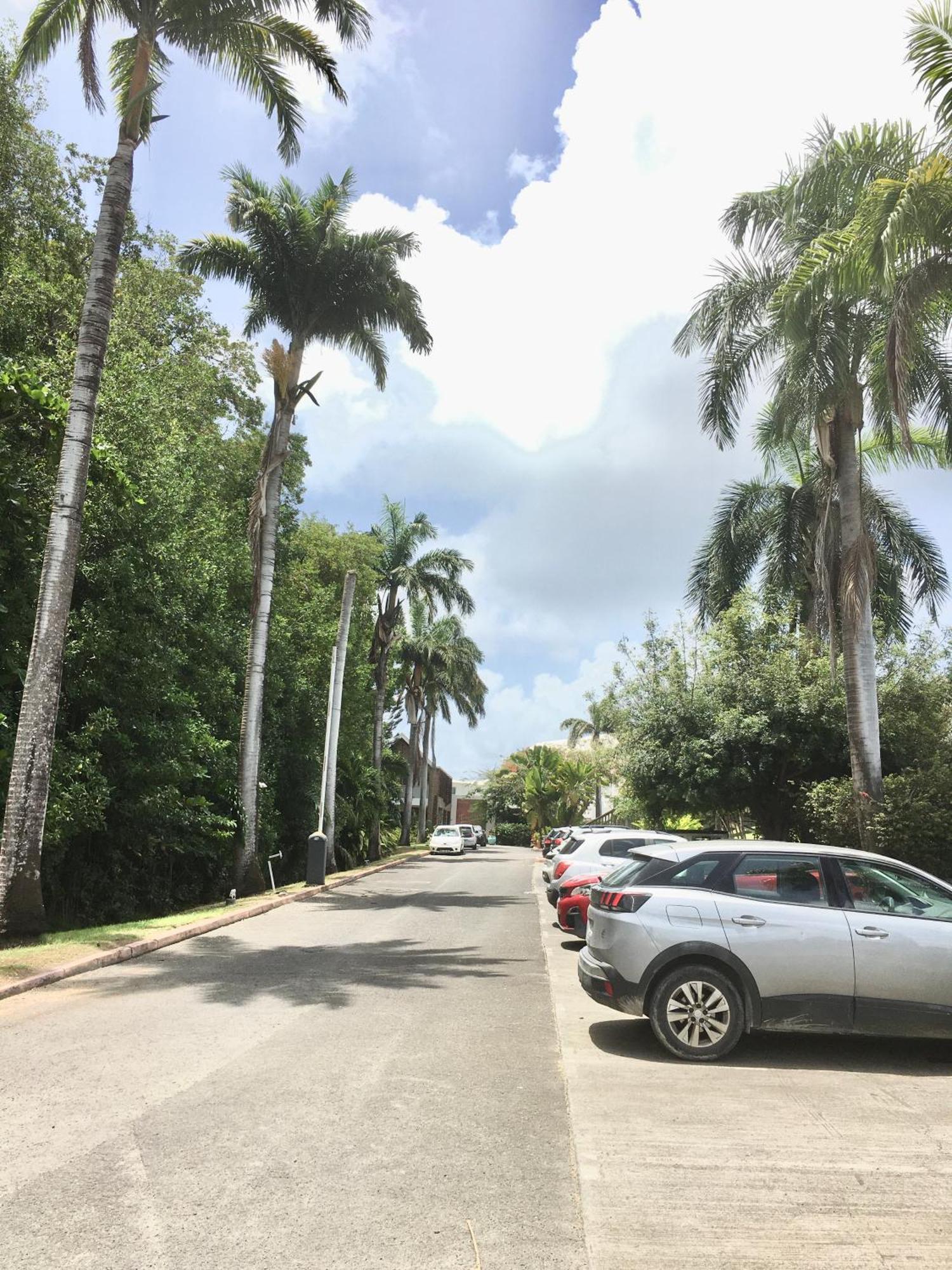 Appartement St Francois Manganao Guadeloupe Saint-Francois  Esterno foto
