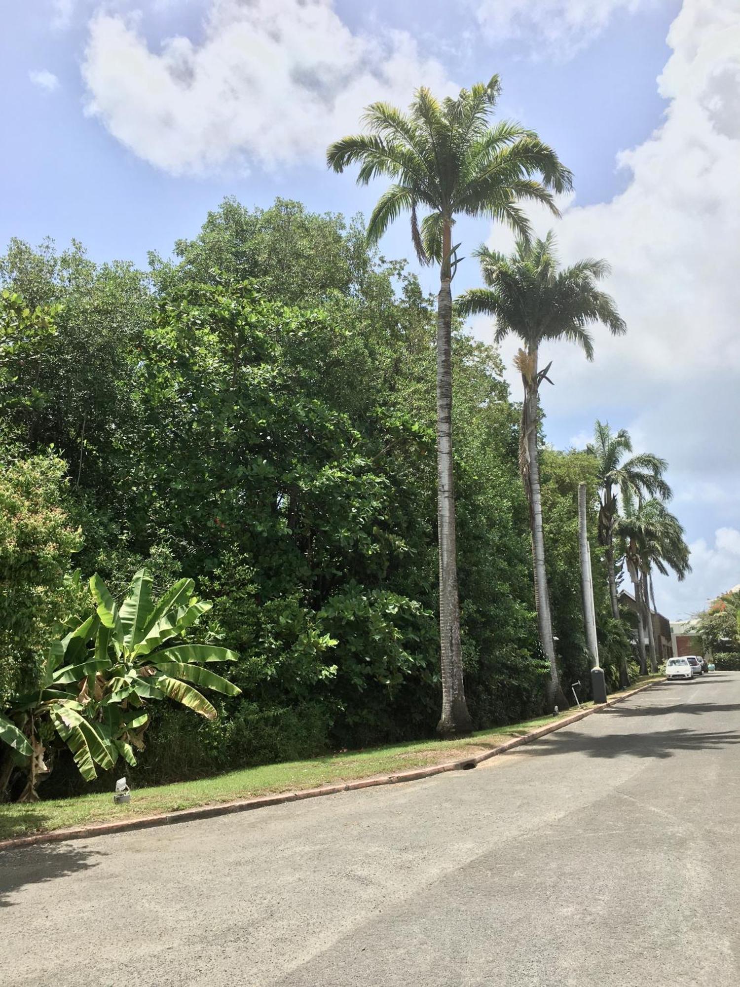 Appartement St Francois Manganao Guadeloupe Saint-Francois  Esterno foto